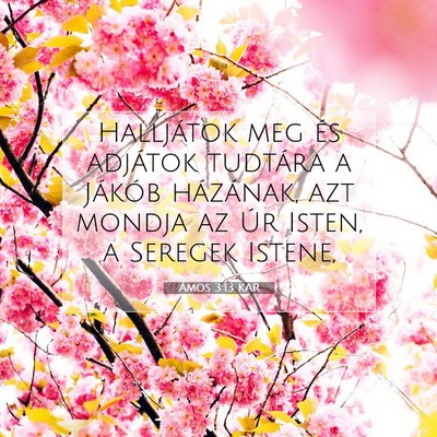 Picture 07 - Ámos 3:13 KAR - Halljátok meg és adjátok tudtára a Jákób - Bible Verse Picture