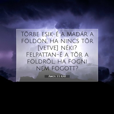 Picture 07 - Ámos 3:5 KAR - Tõrbe esik-é a madár a földön, ha nincs tõr - Bible Verse Picture
