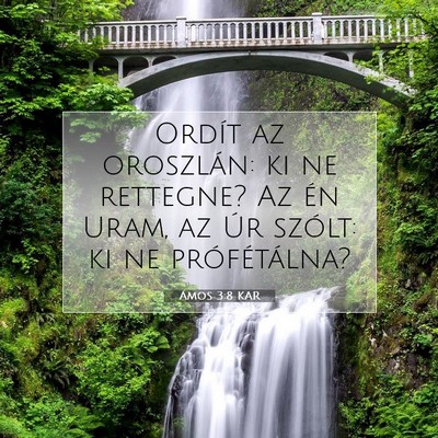 Picture 07 - Ámos 3:8 KAR - Ordít az oroszlán: ki ne rettegne? Az én Uram, - Bible Verse Picture