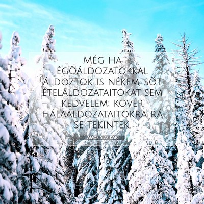Picture 07 - Ámos 5:22 KAR - Még ha égõáldozatokkal áldoztok is nékem, - Bible Verse Picture