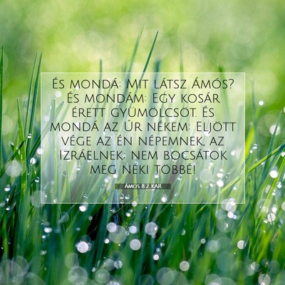 Picture 07 - Ámos 8:2 KAR - És mondá: Mit látsz Ámós? És mondám: Egy - Bible Verse Picture