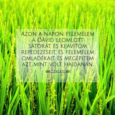 Picture 07 - Ámos 9:11 KAR - Azon a napon felemelem a Dávid leomlott - Bible Verse Picture