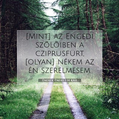 Picture 07 - Énekek Éneke 1:14 KAR - [Mint] az Engedi szõlõiben a cziprusfürt, - Bible Verse Picture