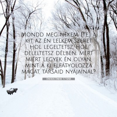 Picture 07 - Énekek Éneke 1:7 KAR - Mondd meg nékem, [te,] a kit az én lelkem - Bible Verse Picture