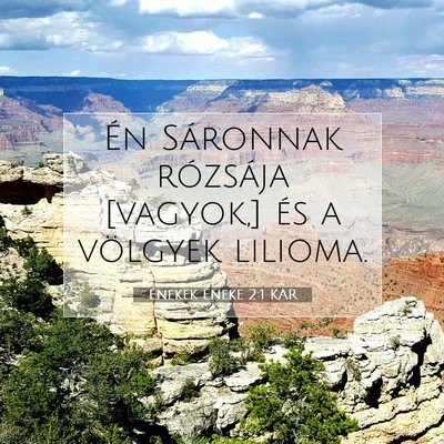 Picture 07 - Énekek Éneke 2:1 KAR - Én Sáronnak rózsája [vagyok,] és a völgyek - Bible Verse Picture