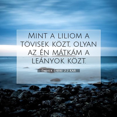 Picture 07 - Énekek Éneke 2:2 KAR - Mint a liliom a tövisek közt, olyan az én - Bible Verse Picture