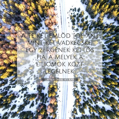 Picture 07 - Énekek Éneke 4:5 KAR - A te két emlõd [olyan,] mint két vadkecske, - Bible Verse Picture