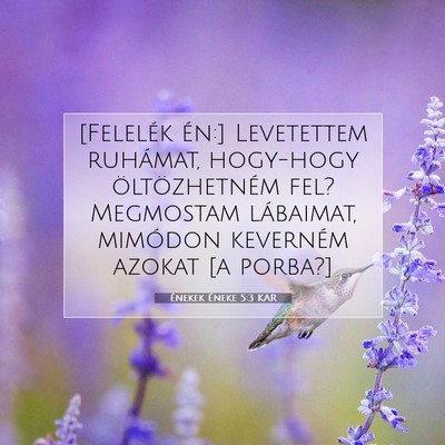 Picture 07 - Énekek Éneke 5:3 KAR - [Felelék én:] Levetettem ruhámat, hogy-hogy - Bible Verse Picture