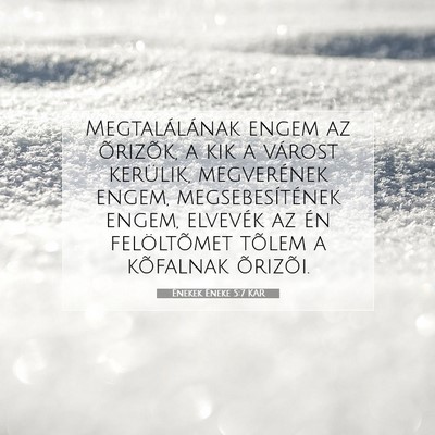 Picture 07 - Énekek Éneke 5:7 KAR - Megtalálának engem az õrizõk, a kik a várost - Bible Verse Picture