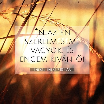 Picture 07 - Énekek Éneke 7:10 KAR - Én az én szerelmesemé vagyok, és engem kiván - Bible Verse Picture