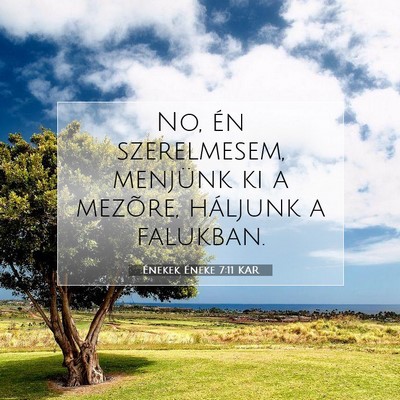Picture 07 - Énekek Éneke 7:11 KAR - No, én szerelmesem, menjünk ki a mezõre, - Bible Verse Picture