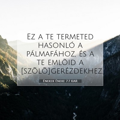 Picture 07 - Énekek Éneke 7:7 KAR - Ez a te termeted hasonló a pálmafához, és a - Bible Verse Picture