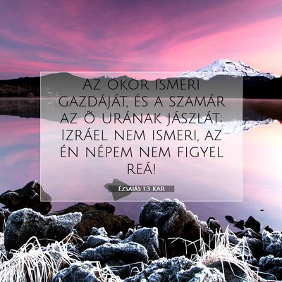 Picture 07 - Ézsaiás 1:3 KAR - Az ökör ismeri gazdáját, és a szamár az õ - Bible Verse Picture