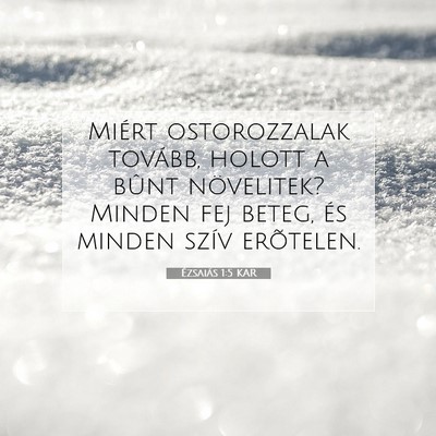Picture 07 - Ézsaiás 1:5 KAR - Miért ostorozzalak tovább, holott a bûnt - Bible Verse Picture