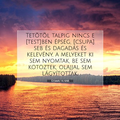 Picture 07 - Ézsaiás 1:6 KAR - Tetõtõl talpig nincs e [test]ben épség, - Bible Verse Picture
