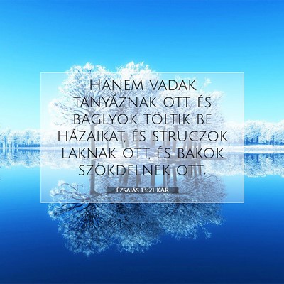 Picture 07 - Ézsaiás 13:21 KAR - Hanem vadak tanyáznak ott, és baglyok töltik - Bible Verse Picture