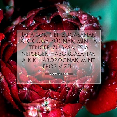 Picture 07 - Ézsaiás 17:12 KAR - Jaj a sok nép zúgásának, a kik úgy zúgnak, - Bible Verse Picture