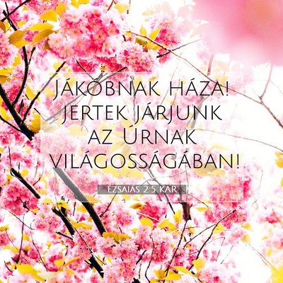 Picture 07 - Ézsaiás 2:5 KAR - Jákóbnak háza! jertek járjunk az Úrnak - Bible Verse Picture