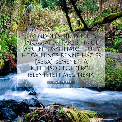 Picture 07 - Ézsaiás 23:1 KAR - Jövendölés Tírus ellen. Jajgassatok Tarsis - Bible Verse Picture