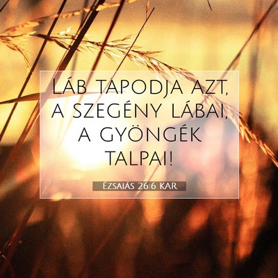 Picture 07 - Ézsaiás 26:6 KAR - Láb tapodja azt, a szegény lábai, a gyöngék - Bible Verse Picture