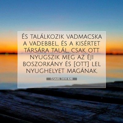 Picture 07 - Ézsaiás 34:14 KAR - És találkozik vadmacska a vadebbel, és a - Bible Verse Picture