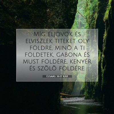 Picture 07 - Ézsaiás 36:17 KAR - Míg eljövök és elviszlek titeket oly földre, - Bible Verse Picture