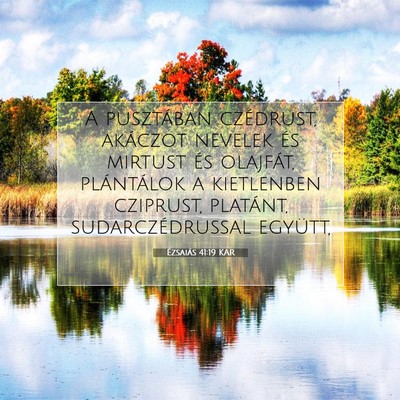 Picture 07 - Ézsaiás 41:19 KAR - A pusztában czédrust, akáczot nevelek és - Bible Verse Picture