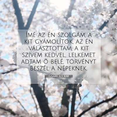 Picture 07 - Ézsaiás 42:1 KAR - Ímé az én szolgám, a kit gyámolítok, az én - Bible Verse Picture