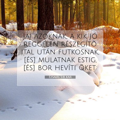 Picture 07 - Ézsaiás 5:11 KAR - Jaj azoknak, a kik jó reggelen részegítõ ital - Bible Verse Picture