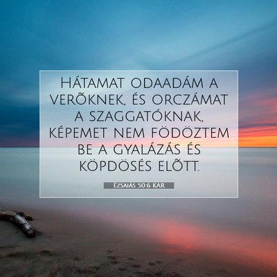Picture 07 - Ézsaiás 50:6 KAR - Hátamat odaadám a verõknek, és orczámat a - Bible Verse Picture