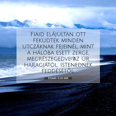 Picture 07 - Ézsaiás 51:20 KAR - Fiaid elájultan ott feküdtek minden utczáknak - Bible Verse Picture