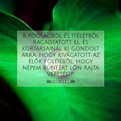 Picture 07 - Ézsaiás 53:8 KAR - A fogságból és ítéletbõl ragadtatott el, - Bible Verse Picture