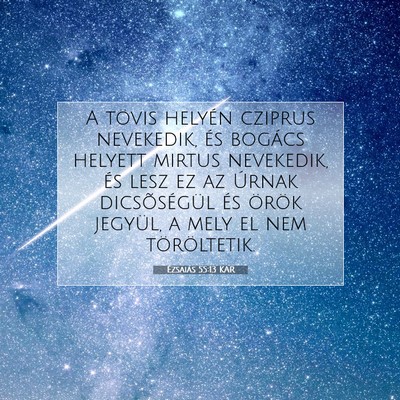 Picture 07 - Ézsaiás 55:13 KAR - A tövis helyén cziprus nevekedik, és bogács - Bible Verse Picture