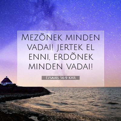 Picture 07 - Ézsaiás 56:9 KAR - Mezõnek minden vadai! jertek el enni, erdõnek - Bible Verse Picture