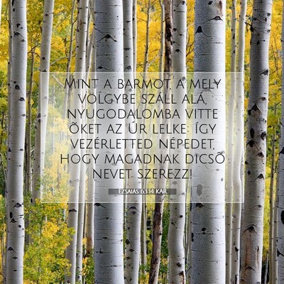 Picture 07 - Ézsaiás 63:14 KAR - Mint a barmot, a mely völgybe száll alá, - Bible Verse Picture