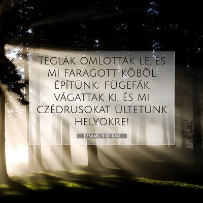 Picture 07 - Ézsaiás 9:10 KAR - Téglák omlottak le, és mi faragott kõbõl - Bible Verse Picture