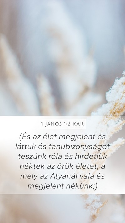 1 János 1:2 KAR Bible Verse Image