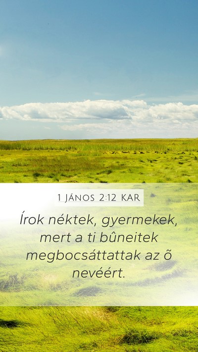 1 János 2:12 KAR Bible Verse Image