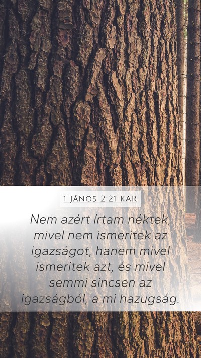 1 János 2:21 KAR Bible Verse Image
