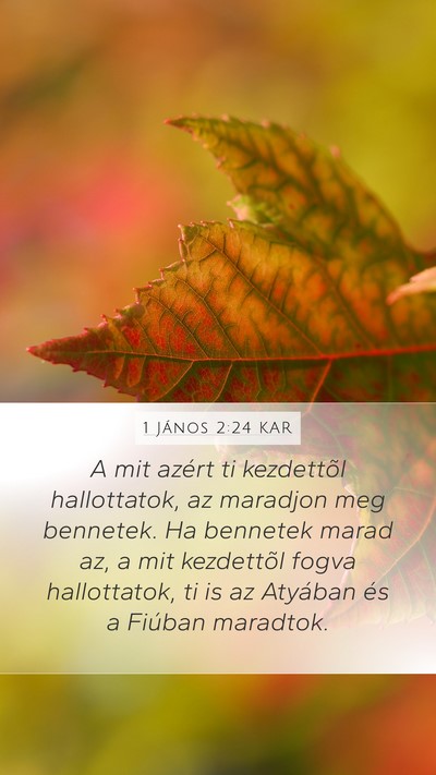1 János 2:24 KAR Bible Verse Image