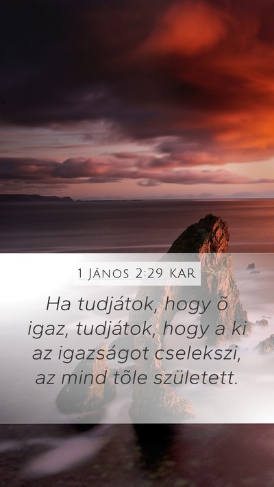 1 János 2:29 KAR Bible Verse Image