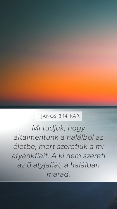 1 János 3:14 KAR Bible Verse Image