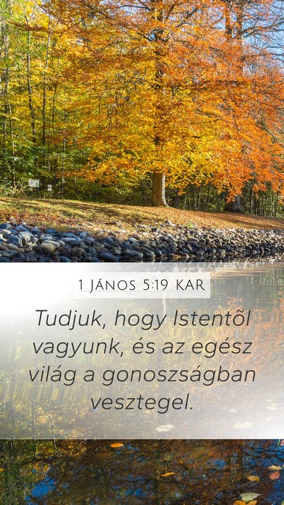 1 János 5:19 KAR Bible Verse Image
