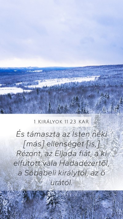 1 Királyok 11:23 KAR Bible Verse Image