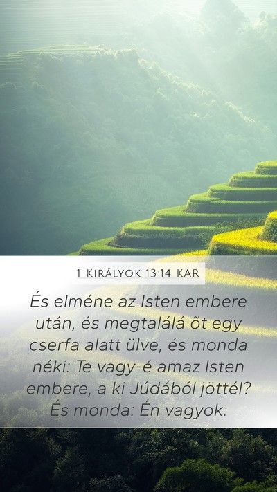 1 Királyok 13:14 KAR Mobile Phone Wallpaper - És elméne az Isten embere után, és - Mobile Bible Verse Wallpaper