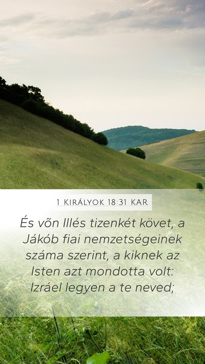 1 Királyok 18:31 KAR Bible Verse Image