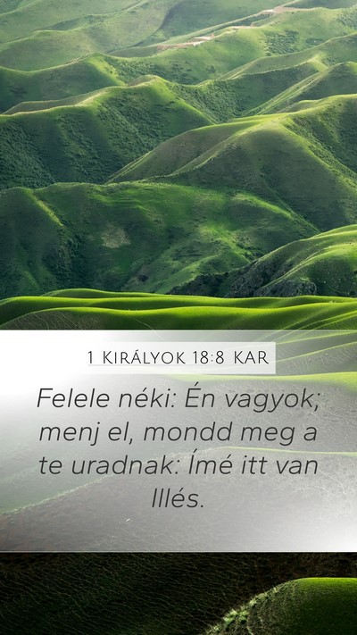 1 Királyok 18:8 KAR Mobile Phone Wallpaper - Felele néki: Én vagyok; menj el, mondd meg a te - Mobile Bible Verse Wallpaper