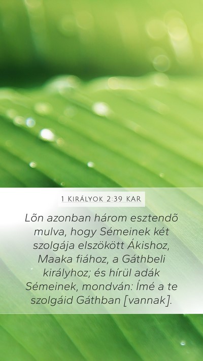 1 Királyok 2:39 KAR Bible Verse Image