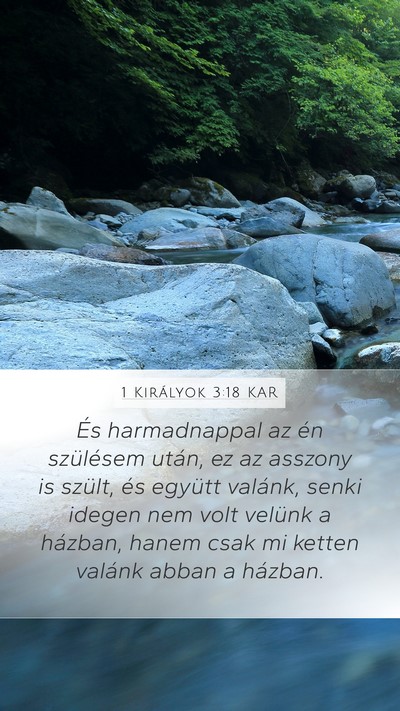 1 Királyok 3:18 KAR Mobile Phone Wallpaper - És harmadnappal az én szülésem után, ez az - Mobile Bible Verse Wallpaper