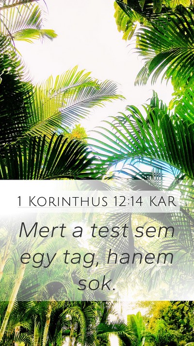 1 Korinthus 12:14 KAR Bible Verse Image